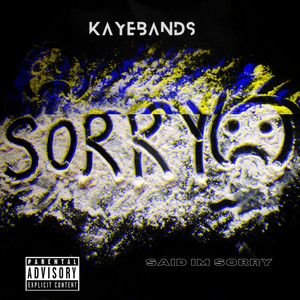 Said I'm Sorry (Explicit)