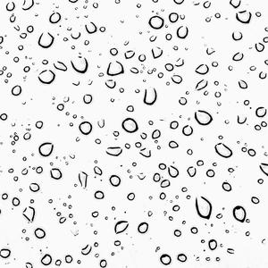 Rain Drops