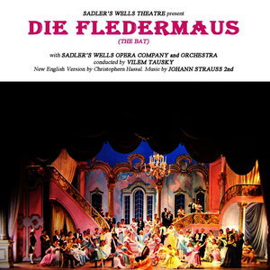 Die Fledermaus