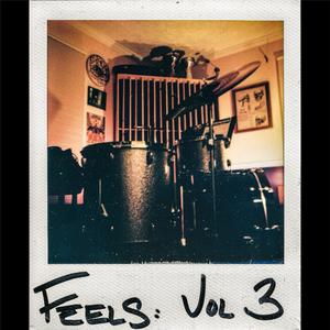 FEELS, Vol. 3