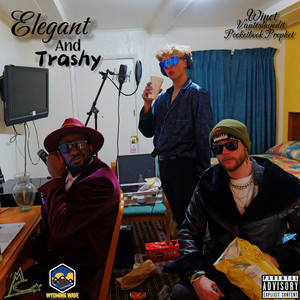 Elegant and Trashy (Explicit)