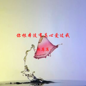 你根本没有真心爱过我