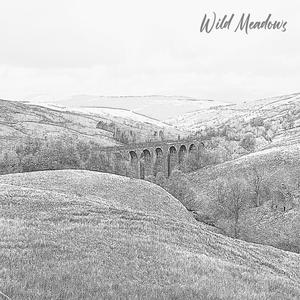 Wild Meadows (feat. Antonio Giardina)