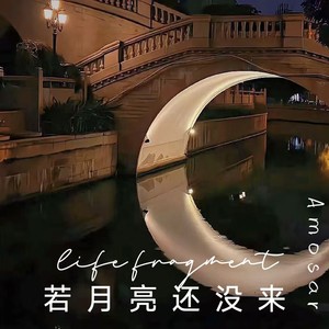 若月亮没来