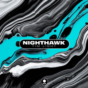 Nighthawk