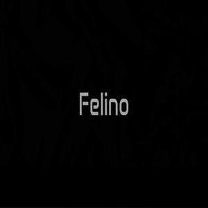Felino (feat. Silvestre Roes)