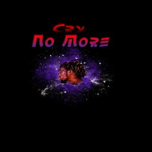 Cry No More (feat. iLand Boi) [Remix] [Explicit]