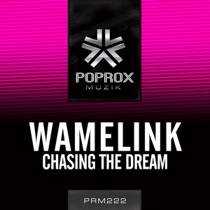 Chasing The Dream (Original Mix)