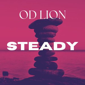 Steady (Explicit)