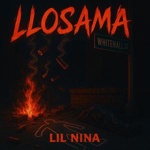 Long Live Osama (Live|Explicit)