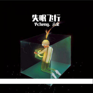 失眠飞行