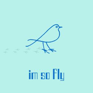 Im so fly (Slowed Version)