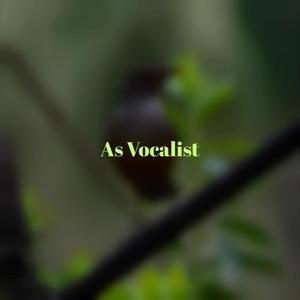 As Vocalist