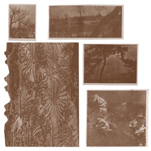 Barely Dragging Whole Apart