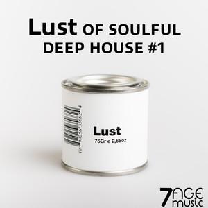 Lust of Soulful Deep House, Vol. 1