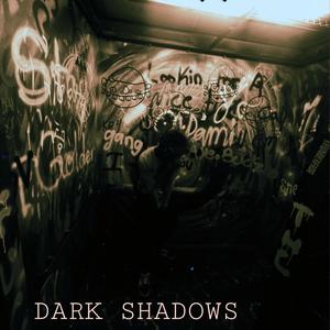 DARK SHADOWS (Explicit)