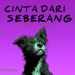 Cinta Dari Seberang