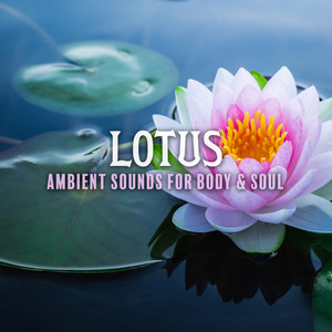 Lotus: Ambient Sounds for Body & Soul