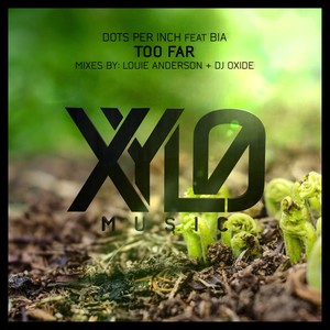 Too Far (DJ Oxide Remix|Remix)