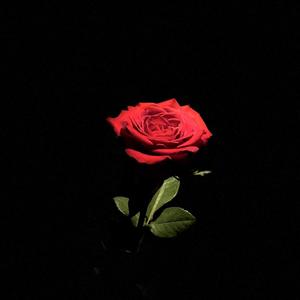 BIG RACKS (feat. TDC MEACHIE) (Explicit)