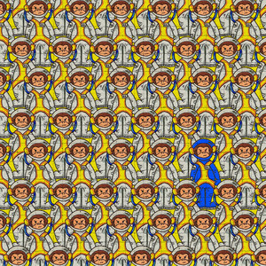 Обезьяны космонавты