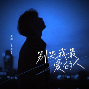 别哭我最爱的人 (烟嗓版)
