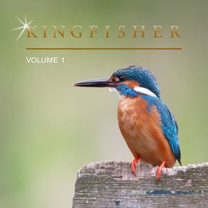 Kingfisher, Vol. 1