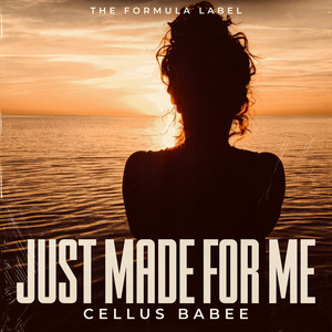 Made For Me (Explicit)