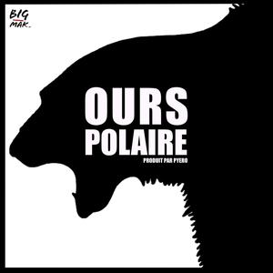 Ours polaire (Explicit)