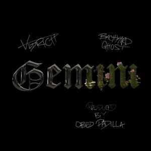 Gemini (feat. Bachyard Ghost) [Explicit]