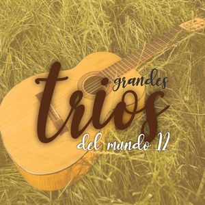 Grandes Trios del Mundo 12 - Varios