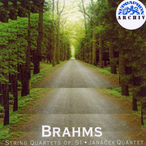 String Quartet No. 1 in C minor, Op. 51: I. Allegro