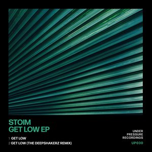 Get Low (The Deepshakerz Remix)