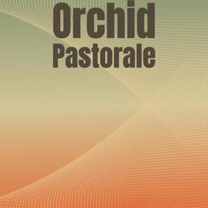 Orchid Pastorale