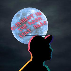 Elephant in the Room (Explicit)