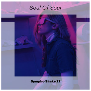 Soul Of Soul Sympho Shake 22