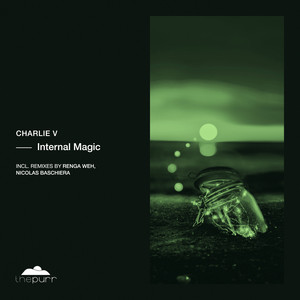 Internal Magic (Nicolas Baschiera remix)