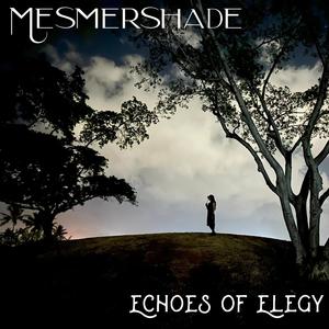 Echoes of Elegy