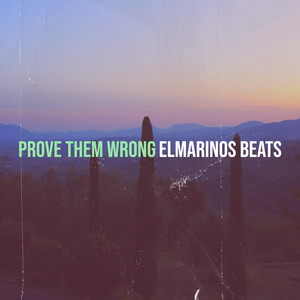 Prove Them Wrong