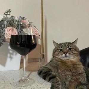 WAKE UP (feat. reductiv & NIRVANAISNTREAL) (Explicit)