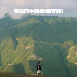 写在风中的信 (加速版)