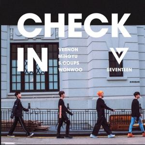 SEVENTEEN Mixtape vol.12-'Check-In'