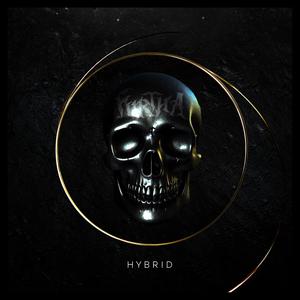 HYBRID (Explicit)