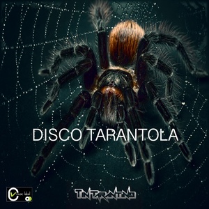 Disco tarantola