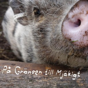 Tanken på dig(feat. Freddy Holm & Maria Hedman)