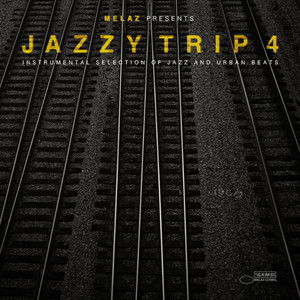 Jazzy Trip 4