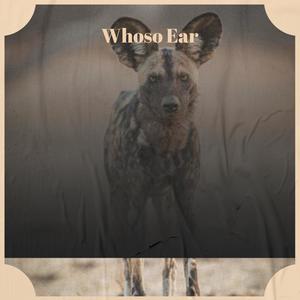 Whoso Ear