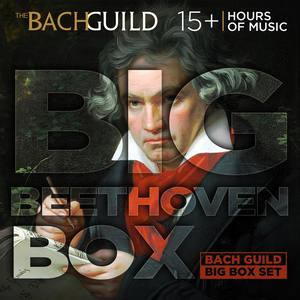 String Quartet No. 15 in A Minor, Op. 132 ('Heiliger Dankgesang'): ii. Allegro ma non tanto