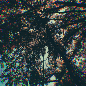 J Ham Speaks (Explicit)