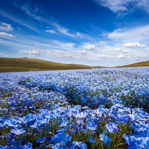 The Rhythm Of Untold Stories